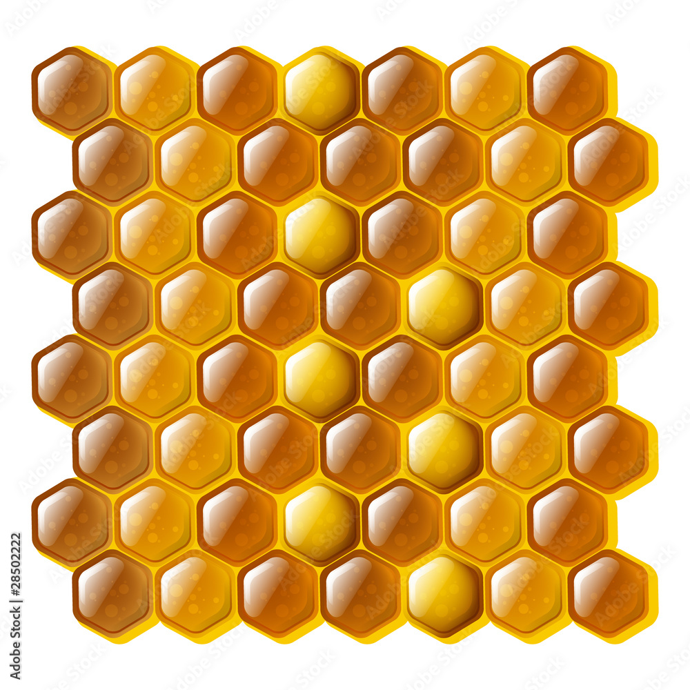 Honeycomb Honeycomb