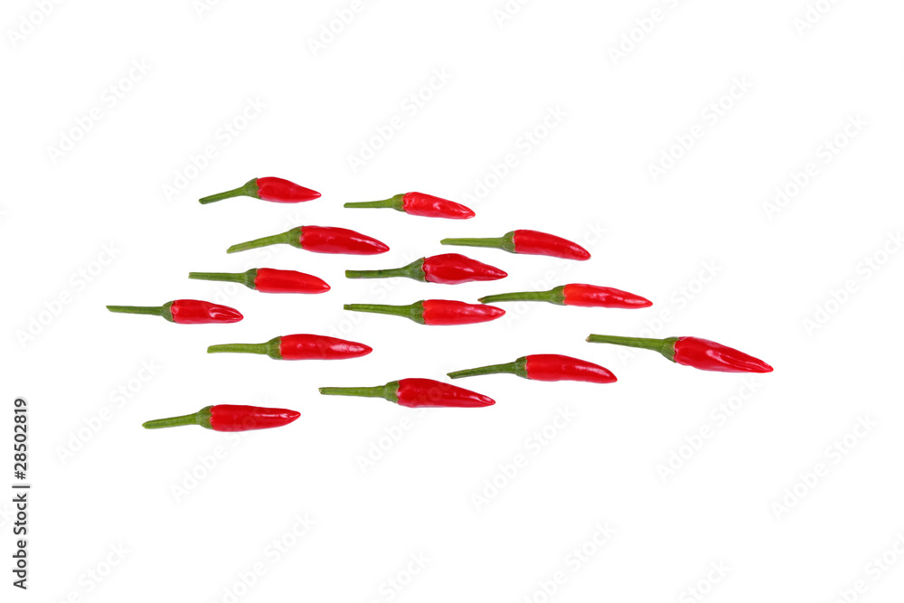 pepper, spice pepper, spice