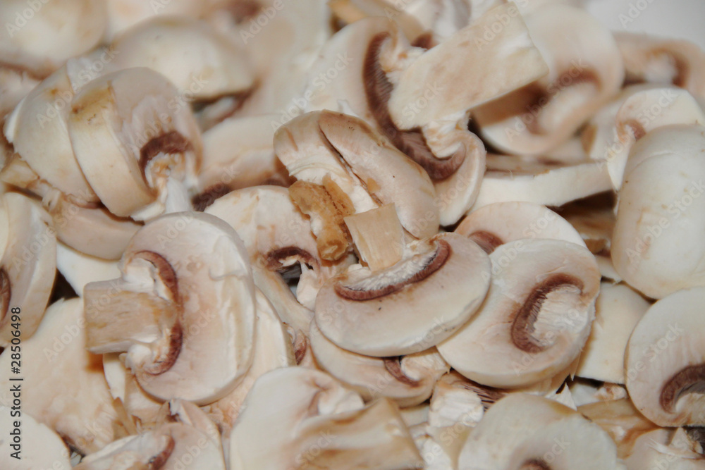 Champignons - Hintergrund Champignons - Hintergrund