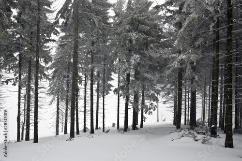 Zima w polskich górach, Beskidy © sitriel