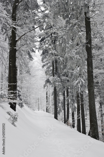 Zima w polskich górach, Beskidy