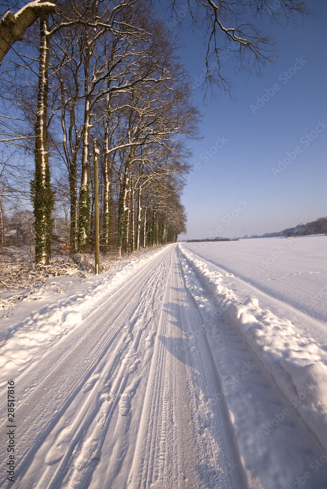 Obraz premium Winterlandschaft