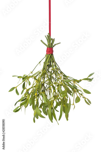 Photo Mistletoe hanging on a red ribbon