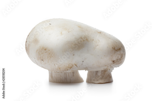 Fresh twin button mushroom