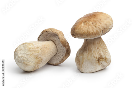 Whole fresh Porcini mushrooms