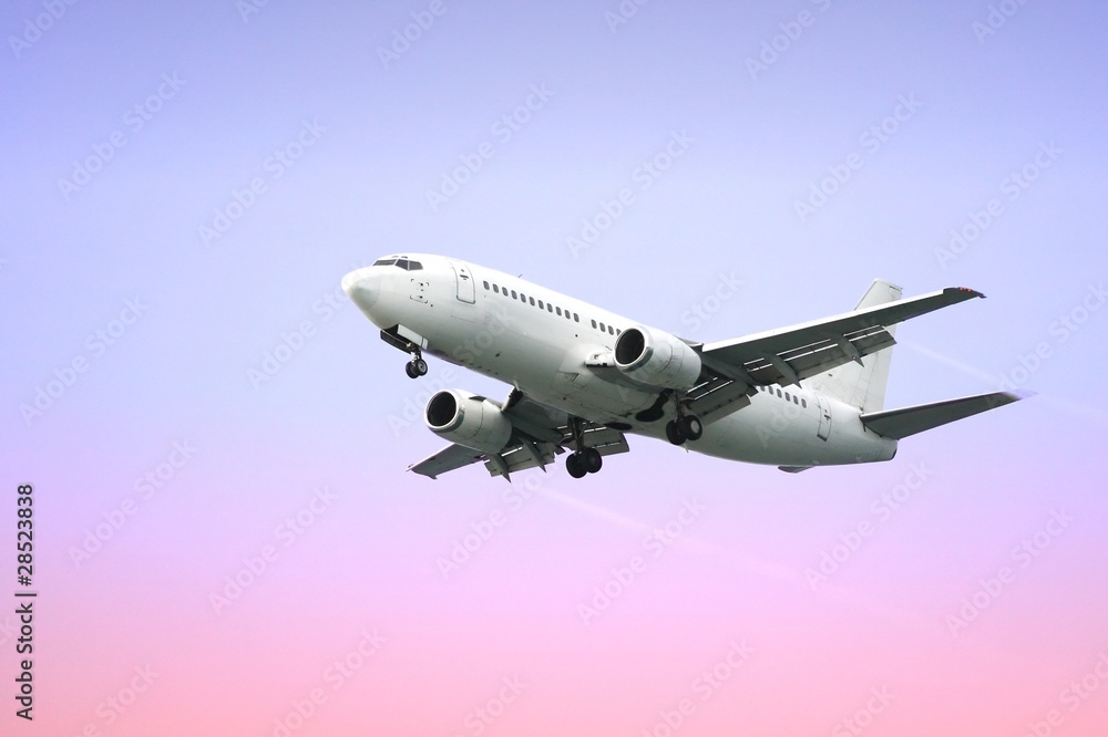 Naklejka premium Passenger Airplane Jet