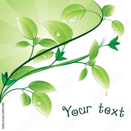 Green leaves