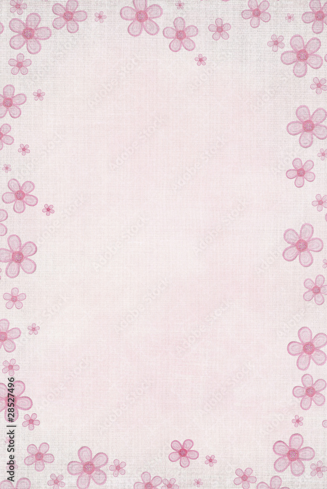 Pink Daisy Pink Daisy