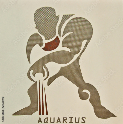 The Aquarius zodiac