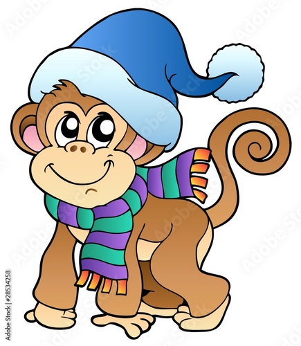 Cute monkey in winter clothes photo