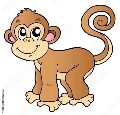 Cute small monkey