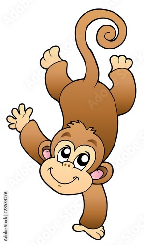 Funny cute monkey