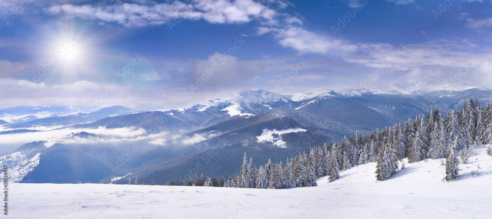 winter landscape in the Carpathian mountains