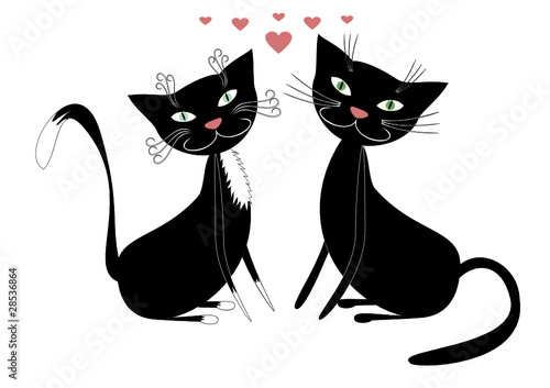 Cats and love