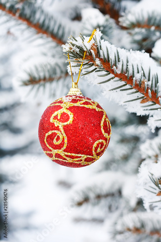 Christmas ball on the fir