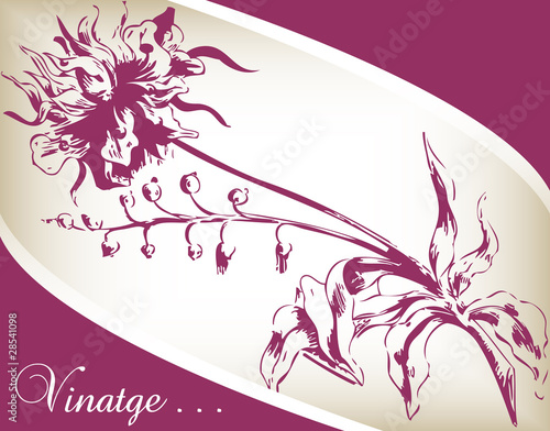 Vintage flower background vector for card