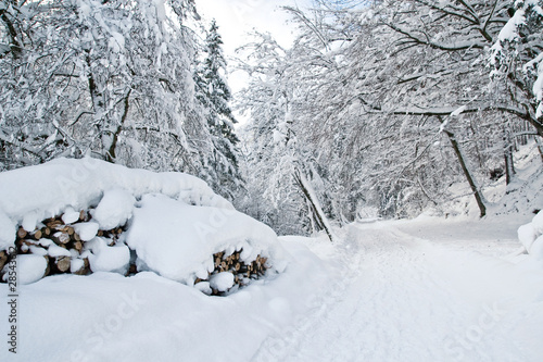 Winterwanderweg © babsi_w