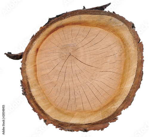 cross-grained wood appletree