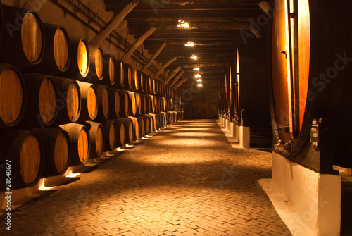 Obraz na plátně barrels at a winery