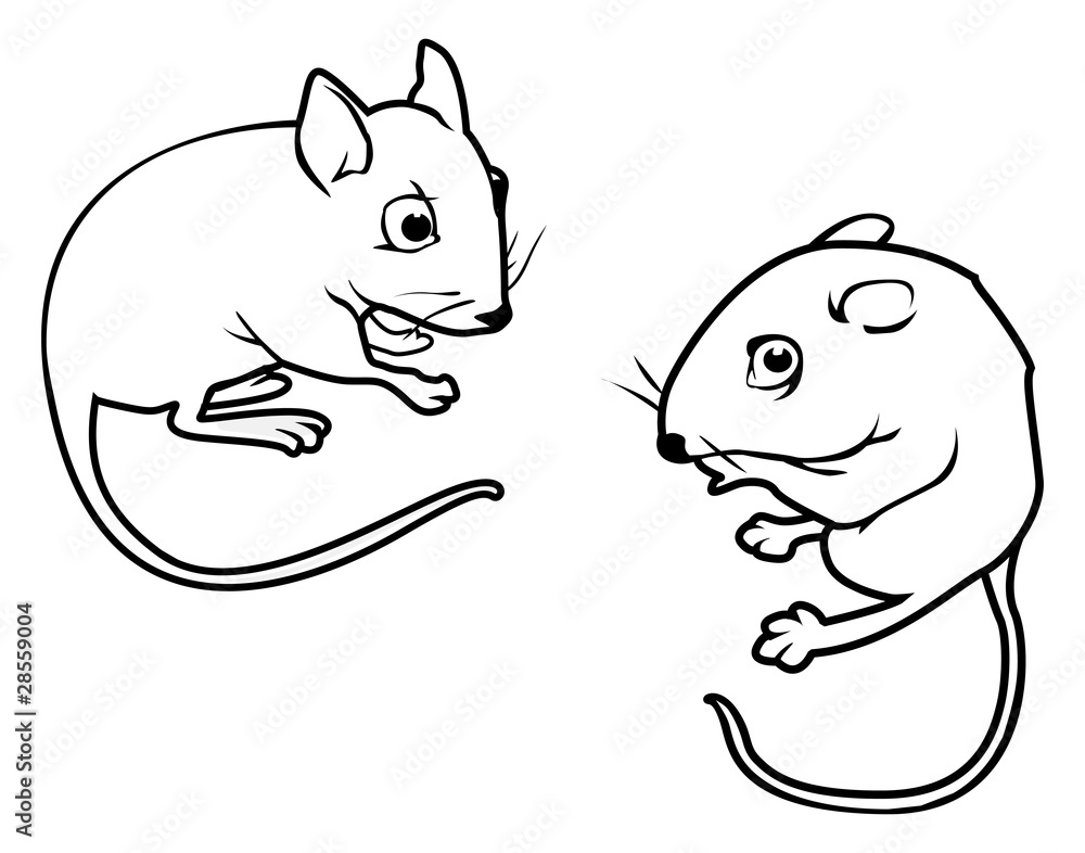 Fototapeta premium mice outline