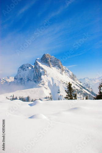 Berg mit Schnee bei Sonnenschein und blauem Himmel im Winter © Robert Hiltl