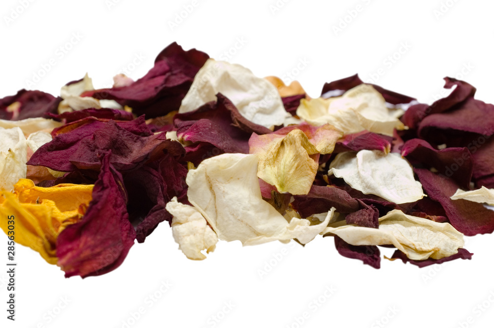 Petals of roses Petals of roses