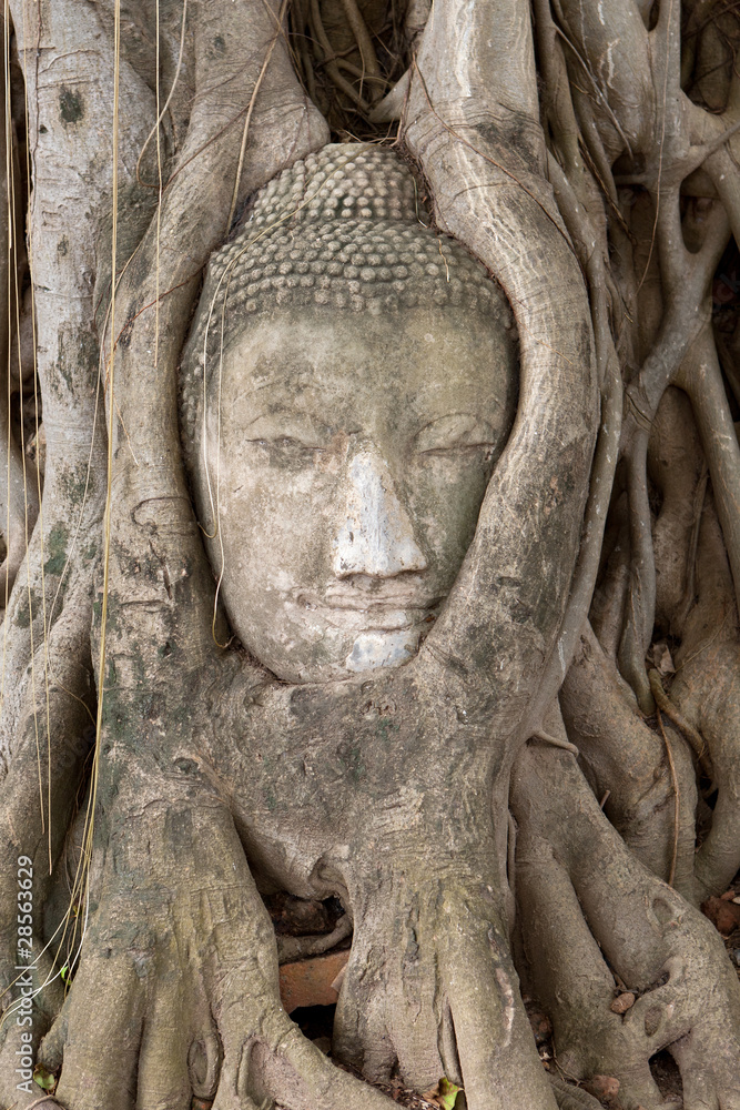 Wat Mahathat Ayutthaya