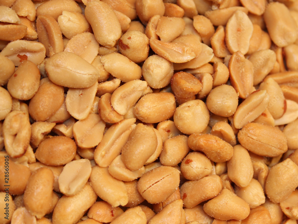 cacahuète - Arachis hypogaea cacahuète - Arachis hypogaea