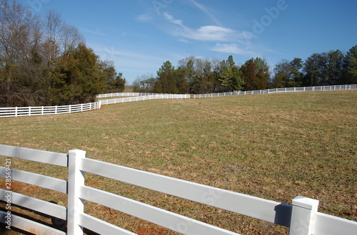 Horse Fence, White