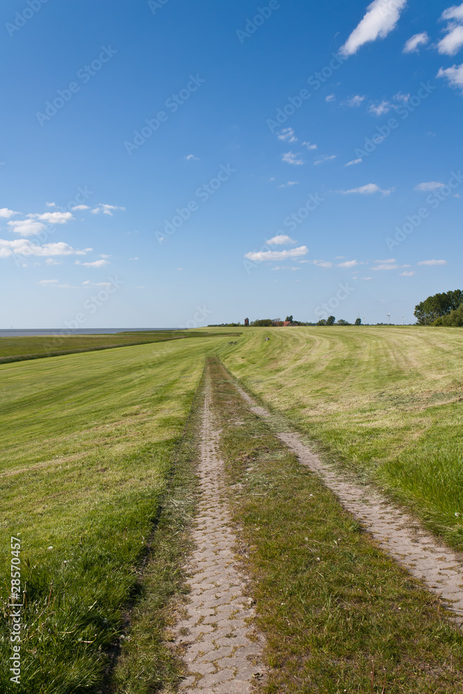 Fototapeta premium antag_15_Feldweg auf dem Deich