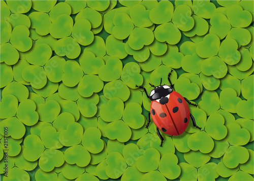 Treffle_Coccinelle