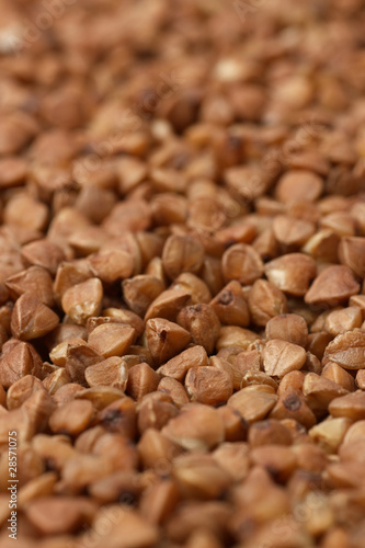 buckwheat closeup