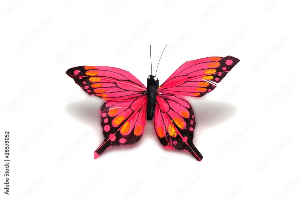 decorative butterfly on a white background decorative butterfly on a white background