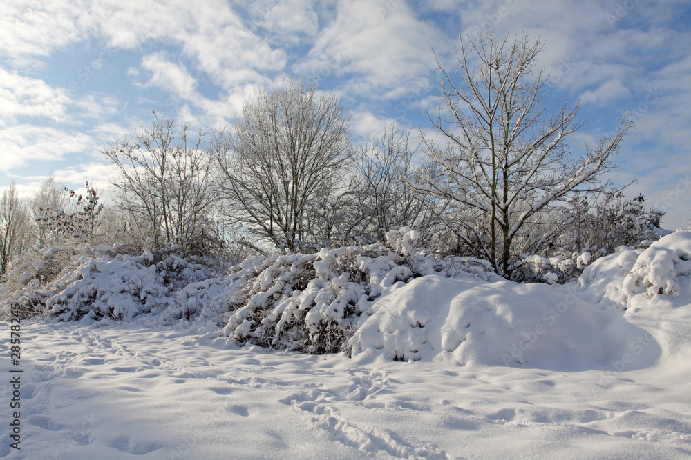 Fototapeta premium Winterlandschaft