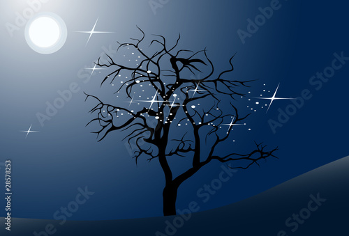 Tree in the full moon night, vector illustration © archipoch