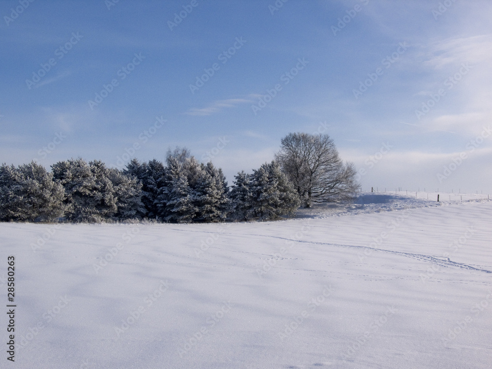 Obraz premium Winterlandschaft