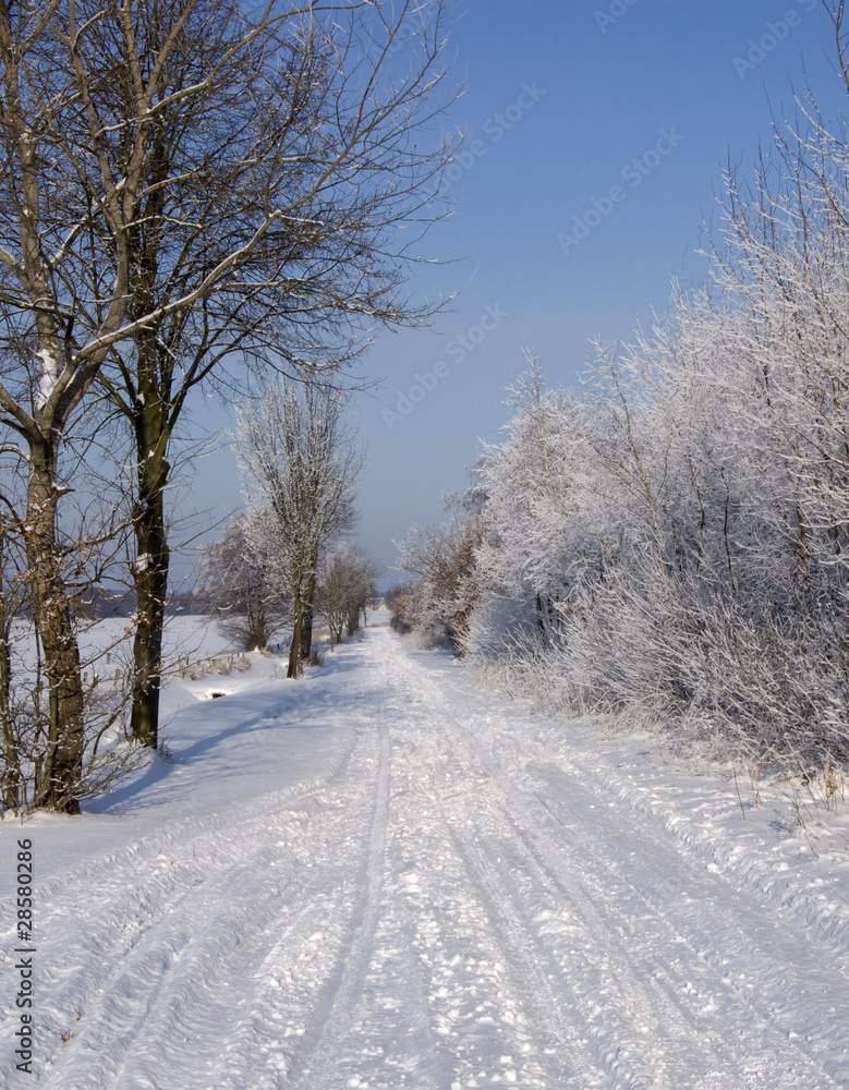 Obraz premium Snow Road