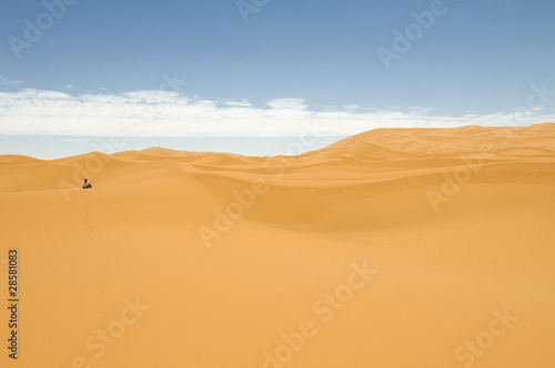 Into the desert © faberfoto