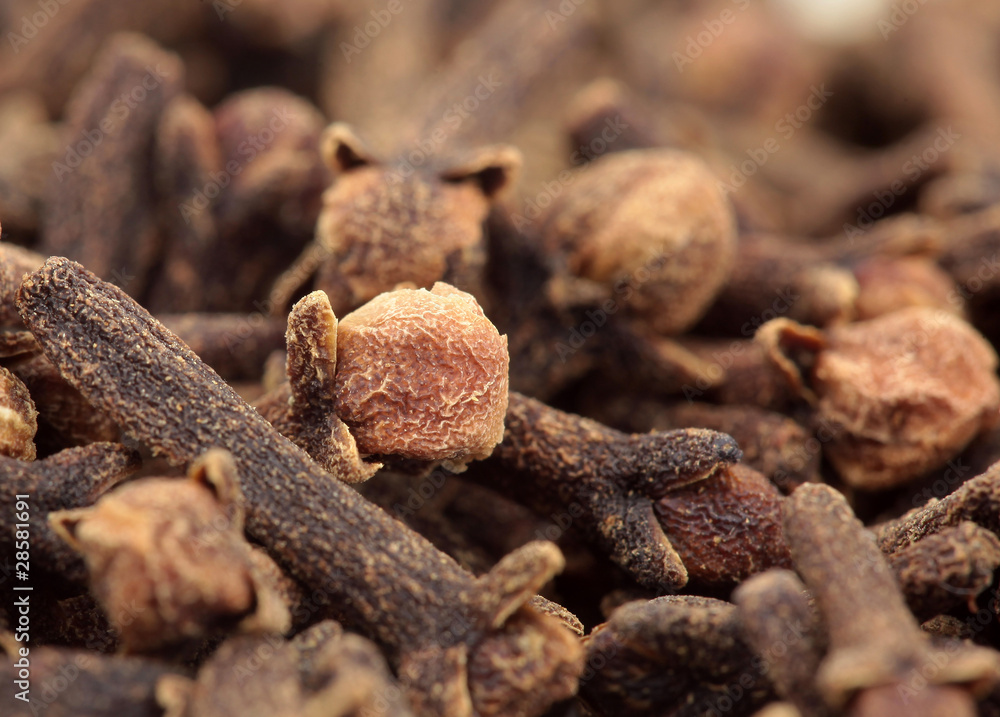 Cloves Cloves