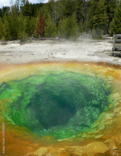 USA - Yellowstone NP-Morning Glory Pool 01