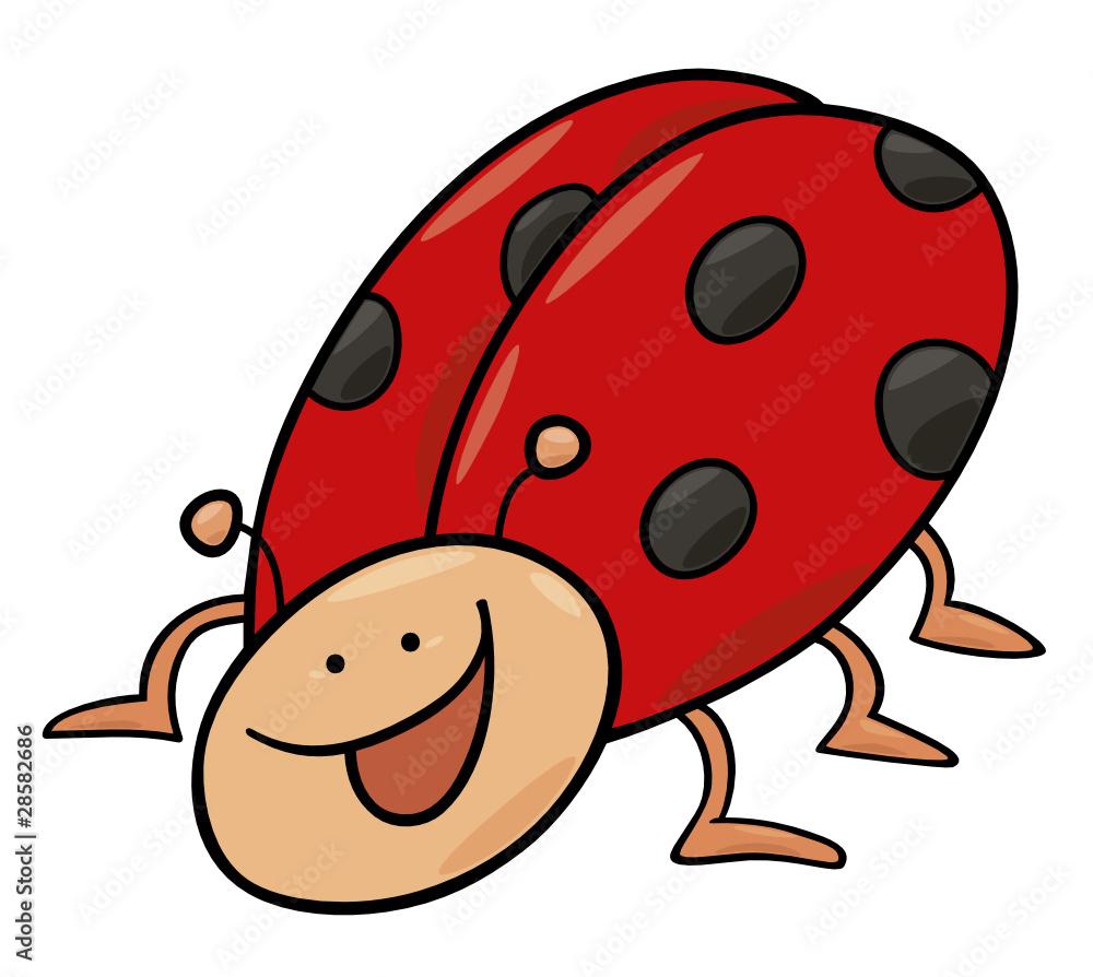 Obraz premium funny ladybug