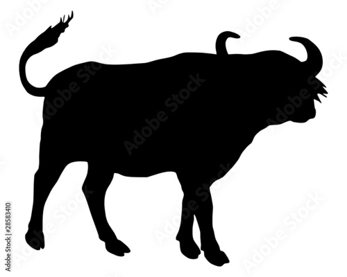 Kaffernbüffel Silhouette