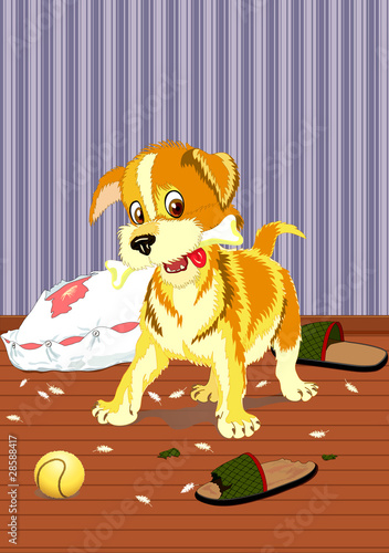 Puppy