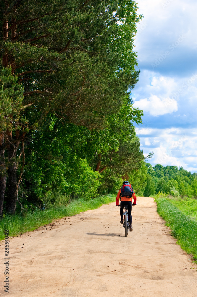 Obraz premium Travelling cyclist