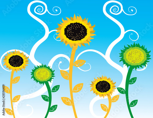 Abstract sunflowers vector Illustration blue sky lines