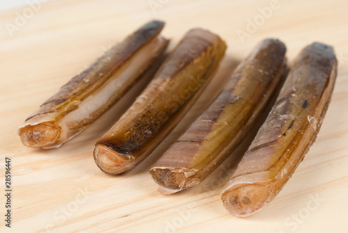 Razor clams