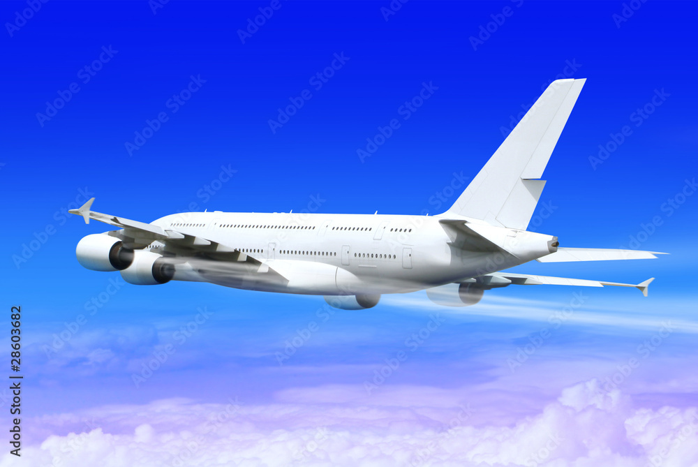 Obraz premium landing airplane