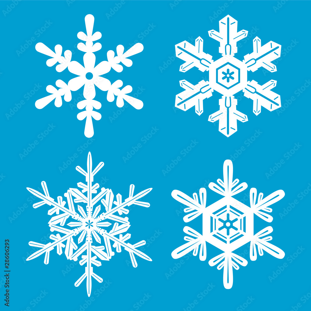 snow snow