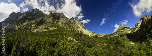 Mountain panorama with grass