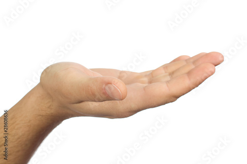Man's hand